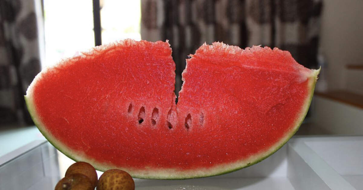 Правила чата @PHUKET_QA: как общаться и не получить бан