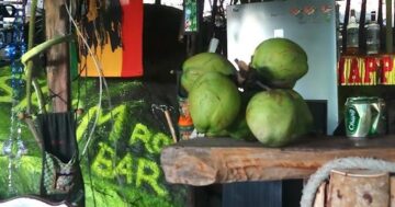 SHAM ROCK BAR — бар, где хозяин Mr Sham создает уютную атмосферу для курения качественных трав, душевных разговоров и возвращения снова