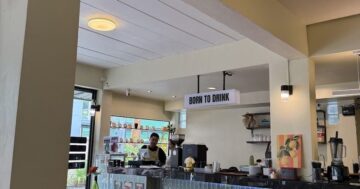 Born to Drink в Ката Ной разоблачен: не туристическая ловушка, а кондиционированное спасение от жары с эспрессо как в Австралии, бэгелы и настолки