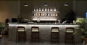 Как KYSNA Cafe превращает завтрак и ужин в семейное спасение: сирники как у бабушки, манго‑эспрессо, стильный интерьер, простор и даже вход с собакой