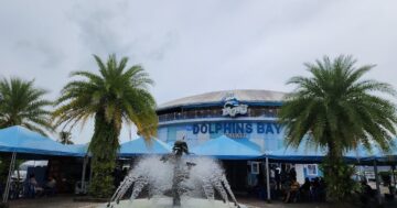 Dolphins Bay Phuket — где сесть, чтобы увидеть лучшее представление дельфинов и морских львов, не промокнув; советы посетителей и расписание