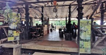 Tarzan Adventure Phuket в Cape Panwa — секреты посетителей: зачем приезжать за зиплайнами, видом и халяльным кафе на вершине холма