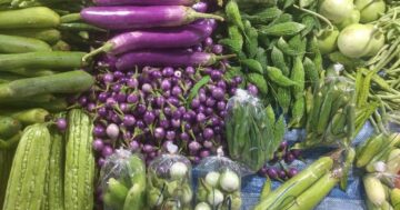 Soi Nam Jai Market — маленький рынок с дешёвыми морепродуктами, блюдами и одеждой; узнайте, почему местные приходят только в среду и воскресенье с 15 до 19