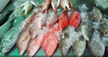 Rawai Seafood Market в Пхукете: правда о свежести, торге и приготовлении через дорогу — когда стоит платить и чего ожидать от атмосферы
