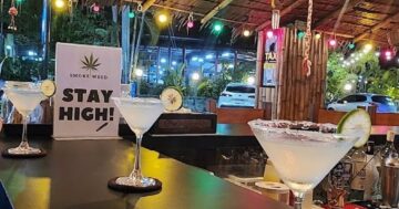 La la bell bar & cafe в Чалонге Пхукет — скрытая жемчужина с лучшими коктейлями и свежим кокосом, уютной атмосферой и обязательной остановкой для гостей