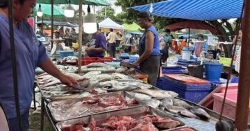 Rawai Monday & Thursday Market — почему местные ходят по понедельникам и четвергам: еда от 10 бат, свежие соки, дешёвая одежда и почти нет мест для сидения