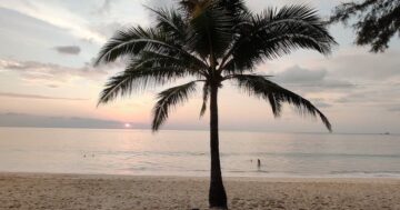 Laguna Beach на Пхукете — широкая пустая полоса с тенью деревьев и мягким песком или пляж, где купаться не советуют: реальная правда