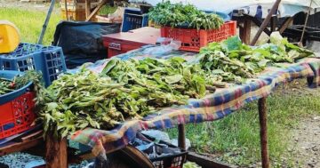 Sunday small market at mood dok khao — компактный вечерний рынок с поразительной свежестью продуктов, разнообразием уличной еды и дружелюбными продавцами