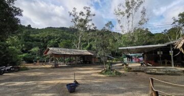 Невероятно этичный опыт в Elephant Retirement Park Phuket — близкое общение с пенсионными слонами, внимательный персонал, прогулки и купание в естественной среде