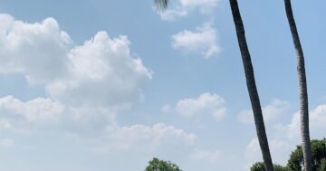 Почему Laguna Golf Phuket считается местом, где лучшие тренеры преобразят вашу игру и научат бить увереннее даже тех, кто не верил