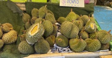 Durian market: правда о ценах, сортах и хозяине — почему одни хвалят честность и выбор дурианов, а другие жалуются на грубость и завышенные цены