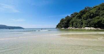 Kata Beach — когда лучше приходить: раннее утро и отлив открывают простор у берега, безопасные воды для детей, волны для серферов и рестораны
