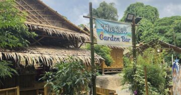 Почему туристы проходят мимо: крошечный The Lek Garden Bar у бесплатного входа на Freedom Beach прячет самые сладкие кокосы и отличные смузи