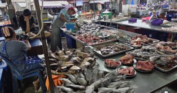 ตลาดสดกะทู้ в Пхукете: аутентичный местный рынок с невероятно свежими морепродуктами, уличной едой и очень низкими ценами для знающих