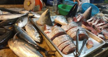 Рынок ตลาดคันทรีโฮม ภูเก็ต: приезжайте до 6–8 утра за самой свежей дешёвой рыбой, фруктами и овощами — к полудню закрыт, мало сидячих мест и жарко