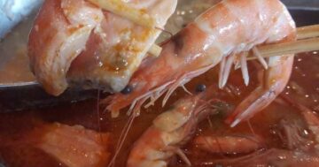 Черт возьми, makan shabu buffet halal восхищает свежими морепродуктами, вежливым персоналом, но холодные лотки и случаи болезни шокируют