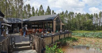 SHAMAN PHUKET lounge cafe bar на Пхукете — элитный лаунж с живой музыкой и внимательным сервисом, идеальное место для джазовых и DJ вечеров