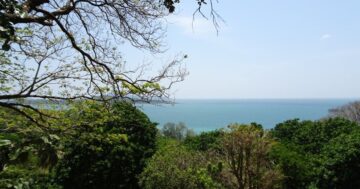 Это райское кафе с видом на море и лучшими пирожными в Раваи, но готовьтесь к шокирующей правде — иногда закрыто в будни и персонал будто исчезает