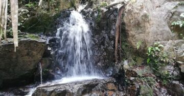 Ton Sai Waterfall на Пхукете: уединённый первозданный водопад в Khao Phra Thaeo с дикой природой, узкими тропами и настоящим ощущением приключения