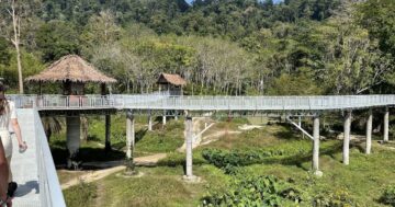 Почему Phuket Elephant Sanctuary в Пхукете обязателен для посещения: спасённые слоны живут свободно, а визит превращает вас в вдохновлённого сторонника этичного туризма