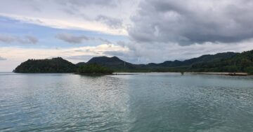 Pure Sailing в Phang Nga Bay: научитесь управлять катамараном как новичок и откройте уединённые острова, купание и закаты