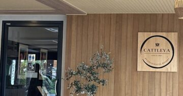 Cattleya в Orchidacea: идеальные отзывы и вечерняя магия музыки, но правда о падении качества и почему местные уже знают когда туда не ходить