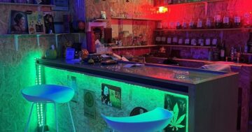 Почему местные выбирают Crypto Rasta’s Bar в Кате: дешёвая высококачественная трава, настоящая регги атмосфера, дружелюбный персонал и место для релаксации, которое скрывают туристы