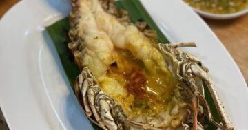 Как съесть живого омара и не разориться в Пхукете: секреты станции морепродуктов Sathanee Hoy Phuket с открытой кухней и хитрыми порциями