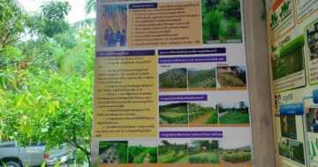 Pa Khlok Learning Center for Improving Agricultural Product Production Efficiency — практическое сельхозобучение и дружное сообщество