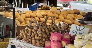 Produce market: где покупают свежие морепродукты и просят приготовить их тут же — секреты цен, торга и идеального времени визита