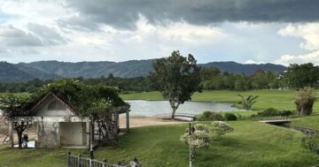 Ali’s BBQ Kathu — честная еда и умеренные цены, но шумные компании наверху губят семейный уют; где сесть, чтобы не терять деньги и настроение