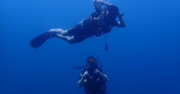 Почему Sea Bees Diving Phuket с собственным черно‑жёлтым катером, внимательной командой и инструкторами 1 на 4 становятся фаворитом одиночных путешественниц и новичков