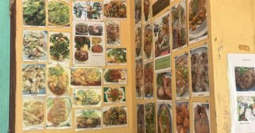 Как съесть настоящую пхукетскую домашнюю еду в ресторане Krua Niyom и не терять время в очереди: секрет брони и тайминга от местных