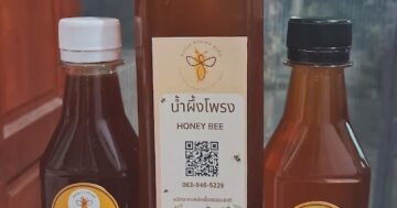 STINGLESS BEE PHUKET FARM в Пхукете: почему туристы и местные возвращаются за лечебным медом пасеки Гольфа и бесплатными дегустациями