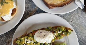 Почему 951 отзыв о Wilson’s Cafe умалчивает главный секрет Rawai — тут лучший кофе, сервис как у друзей и можно спокойно прийти с собакой