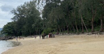 Hua Beach в Камала на Пхукете — крошечный уединённый пляж в джунглях с прозрачной водой и видом, но неудобным входом, одним рестораном и плаваньем лишь у южных рифов, добираться на машине рекомендую