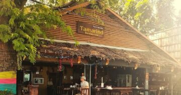 Tamarind в Pullman: уют, саксофон и недорогое тайское меню — менеджер внимательный, но родители предупреждают о медленном обслуживании и языковом барьере