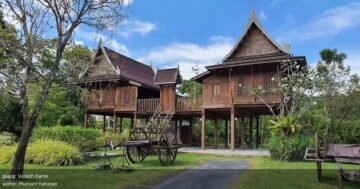 Vanich Farm — идеальное место для детей: живой фермерский опыт, кормление животных и фотогеничные виды, которые заставят вернуться