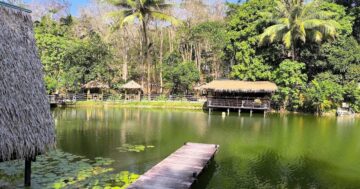 Мой анализ отзывов показывает парадокс: у этого патонгского уединённого ресторана отличная региональная тайская еда и неожиданные проблемы, скрываемые шумом