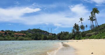 Beach PANWA: уединённый пляж отеля с красивыми видами, но следы масла и мутная вода — когда ехать и где смотреть морскую жизнь