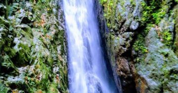 Bang Pae Waterfall в Пхукете: уединённый джунглевый водопад с пением гиббонов и освежающим купанием — идеальная награда за пеший поход
