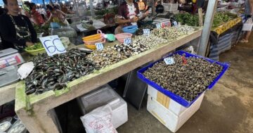 ตลาดนัดม่าหนิก — аутентичный местный рынок с невероятно свежими продуктами и честными ценами, работающий круглосуточно только по вторникам, четвергам и субботам