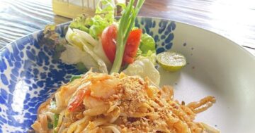 The glass house Lion cafe раскрывает правду о львятах и семейном отдыхе: платные пятиминутки, сонные зверята, риск для детей и скрытые расходы