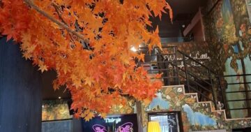 Tinlay’s Lounge Bar — уютный арт-бар с лучшими коктейлями, комфортными диванами и живой музыкой, идеальное место для расслабленного вечера