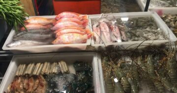 Dragon Night Market: реальность оживлённого ночного базара или разочарование — меньше лавок, скудный ассортимент и переменчивая прибрежная атмосфера