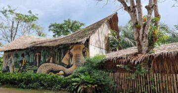 Phuket Elephant Nature Reserve на Пхукете — по‑настоящему этичный приют: наблюдайте за спасёнными слонами в естественной среде без купаний и катаний, с просвещением