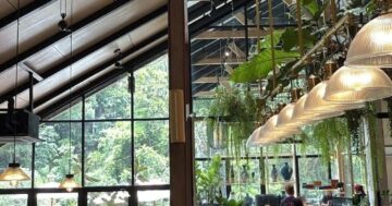 Baboon Phuket — инстаграмная жемчужина с реально хорошим кофе, но бесплатный десерт оказался крошечным печеньем и не всё так идеально