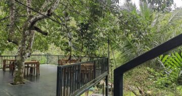 Семейные обеды в Khiang Kao Forest & Cafe: джунгли, столы у водопада и невероятно дешёвая еда, но крутой подъём и дорога требуют подготовки