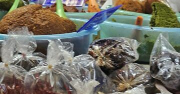 Mae Somchit Kata Fresh Market в Кате — свежая рыба, овощи и тайская уличная еда по выгодным ценам; открыто ежедневно с 6:00 до 20:00, лучше приходить вечером