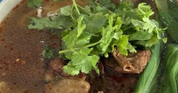 Как в Lion Cafe 辛巴庄园 получить фото с львятами, сберечь деньги на напитках и еде и избежать туристических наценок при посещении